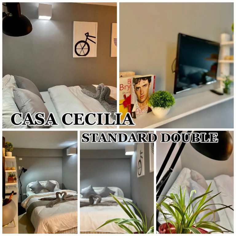 Standard Double room (full double bed)