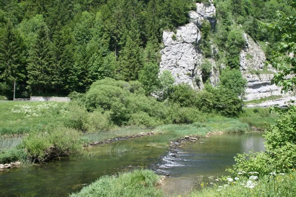 Afficher la photo 8 — Auberge du Château de Joux