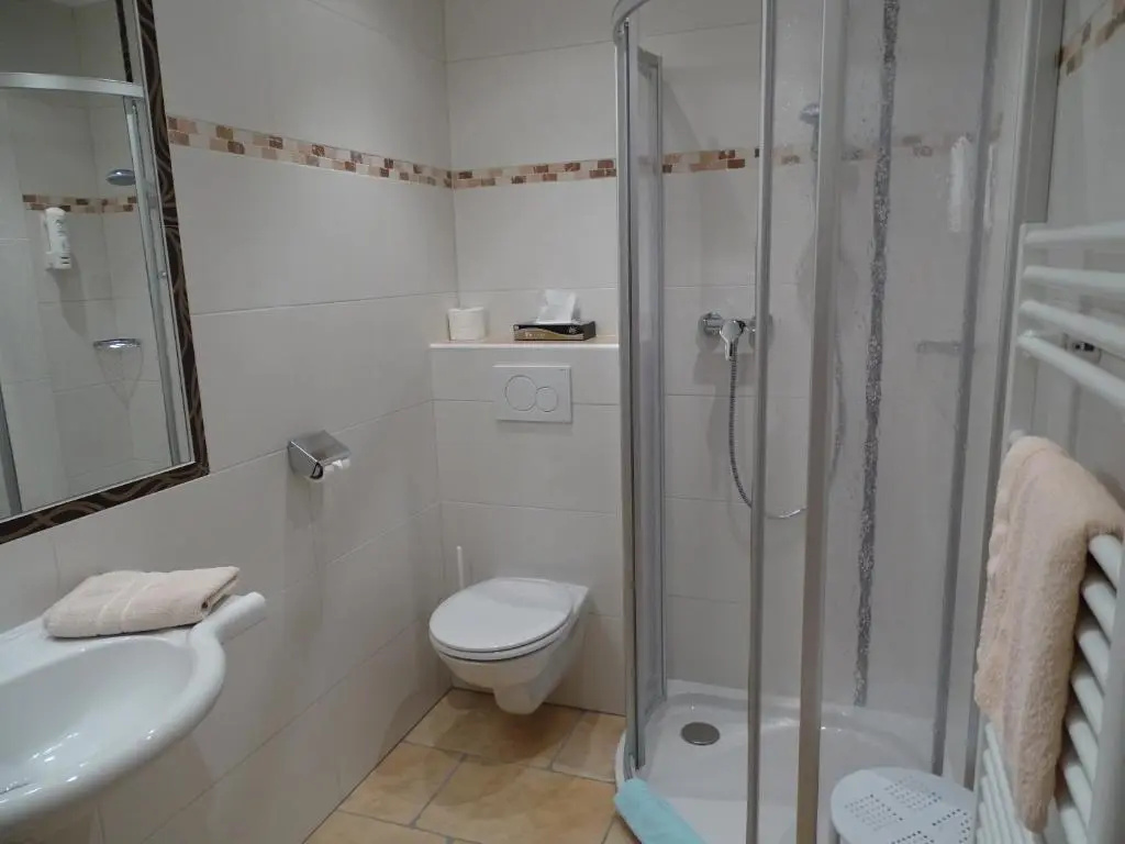 Standard Double room (full double bed)