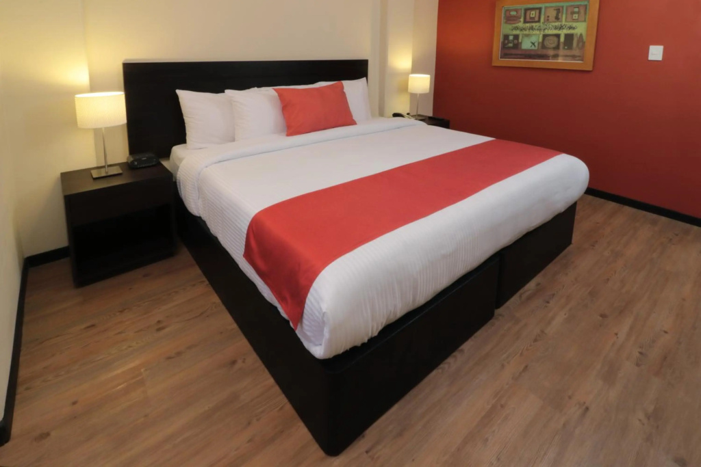 Comfort Inn San Luis Potosi — 5