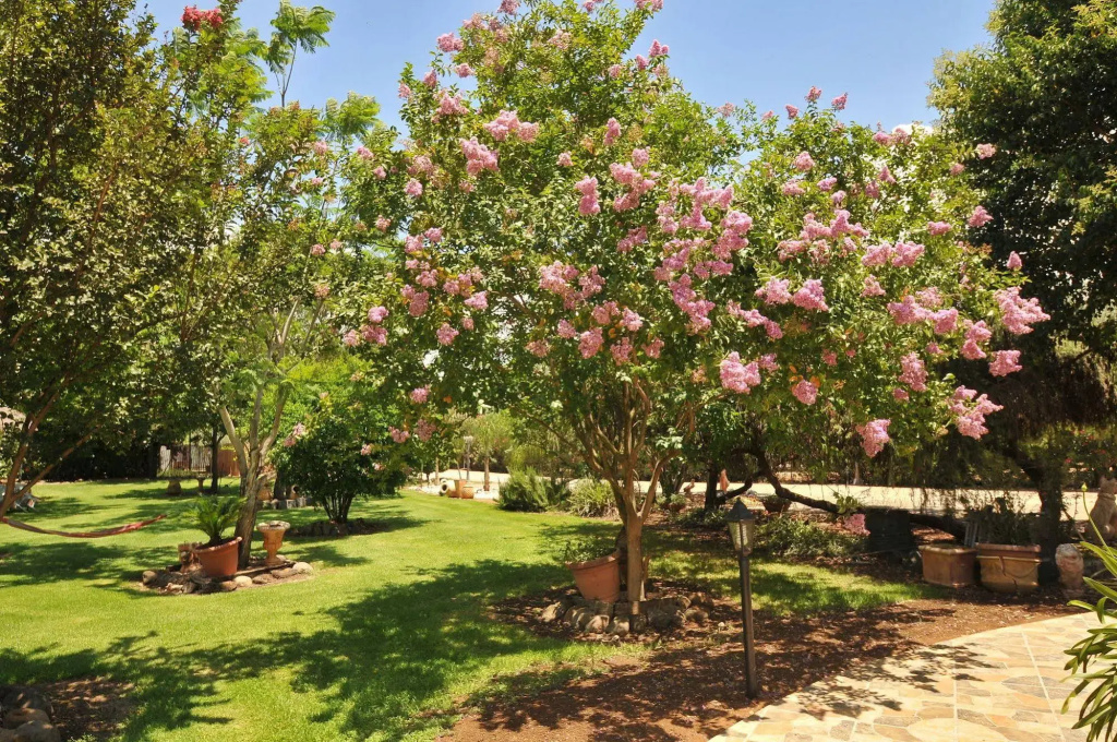 Kidmat Hagalil