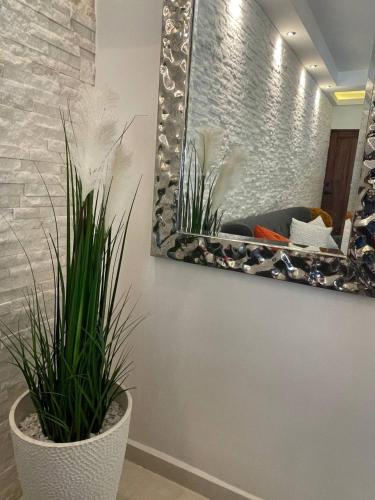 Hotel photo 33