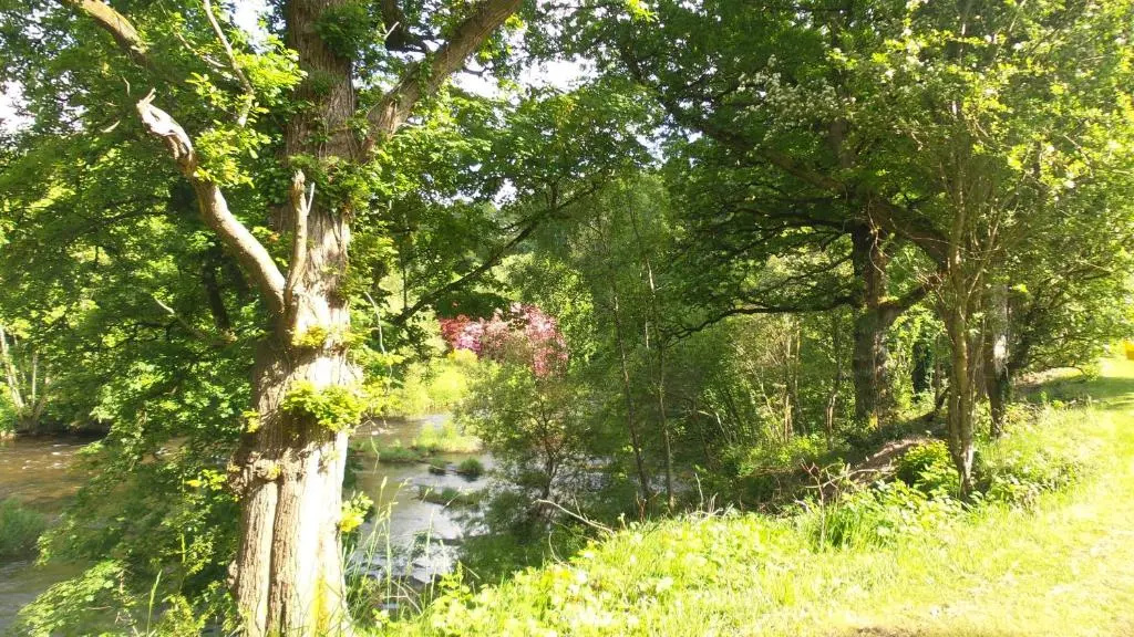 28 Riverside, Caer Beris Holiday Park