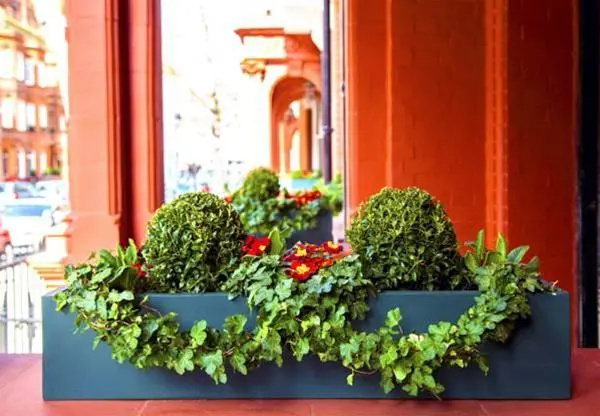 Balcony & Terrace