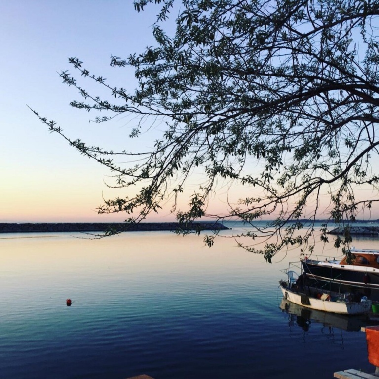 Beach & Waterfront