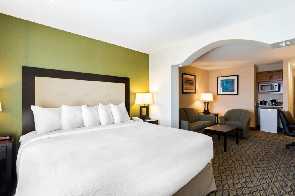 Clarion Hotel & Conference Centre - фото 6