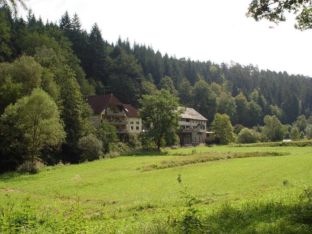 Image 6