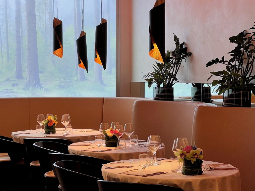 Arli Hotel Business and Wellness - Général