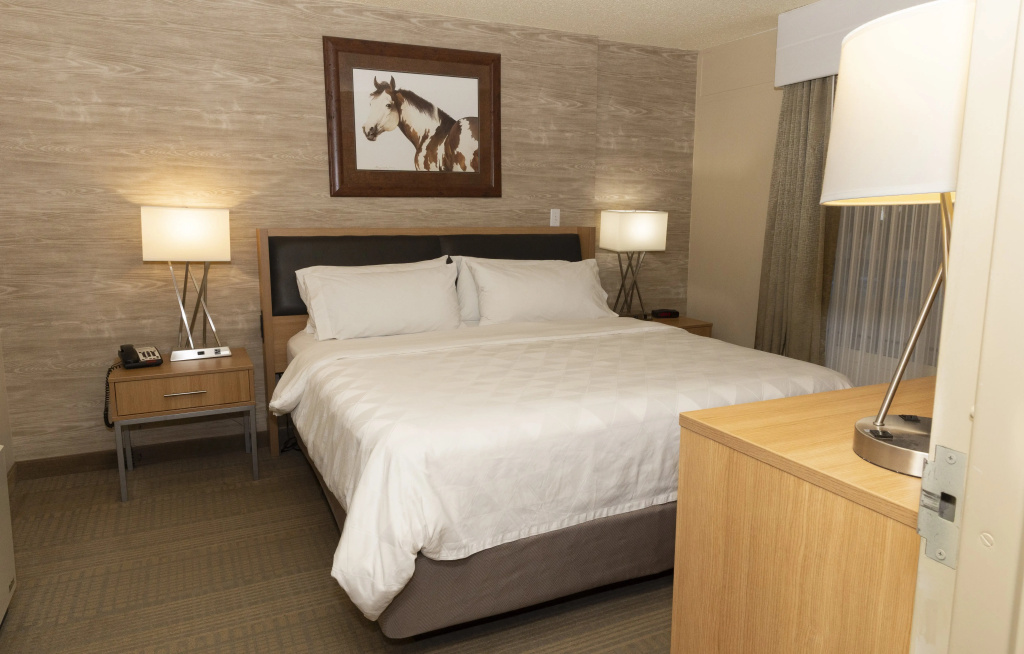 Holiday Inn Spearfish - Convention Center by IHG - Général