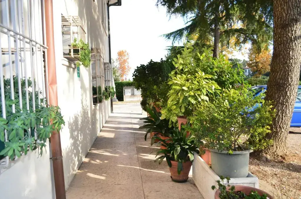 Hotel Magnolia by null