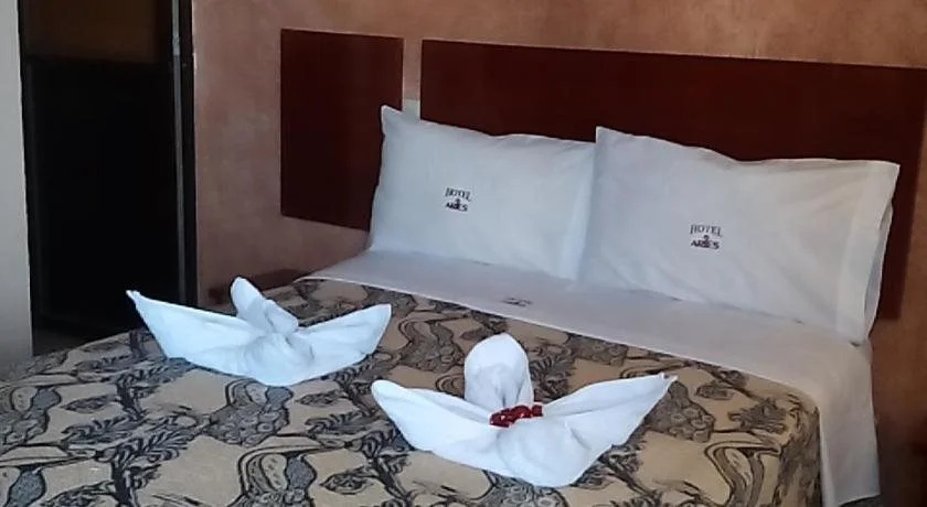 Hotel Aries Tlaxcala - фото 3