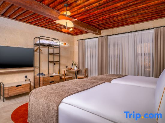 Standard Double room with city view (twin beds)