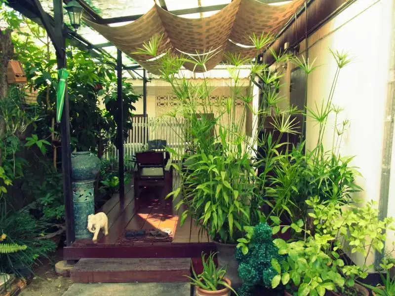image url