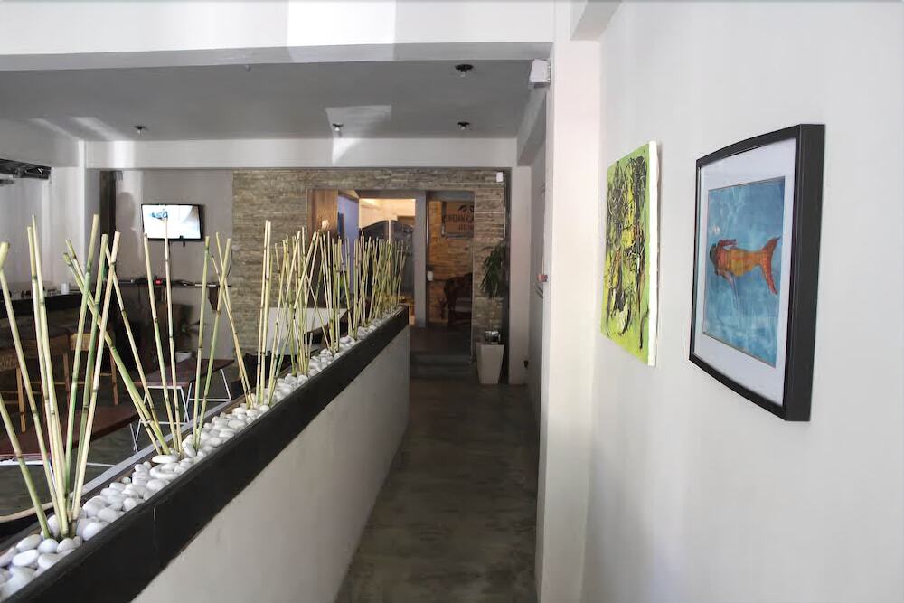 Image 12