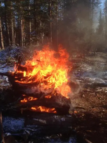 Ranta Äärelä