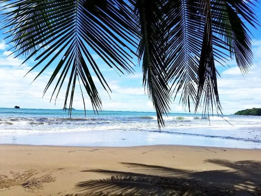 The Mango Tree Villas and Spa - фото 47