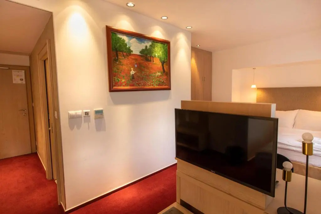 Hotel Villa Necas - Chambres