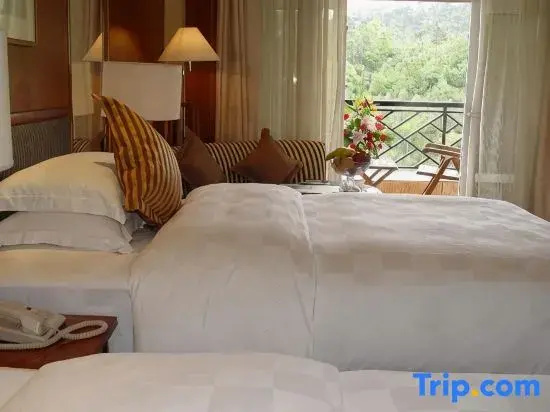 Dongguan Lotus Villa Hotel - Chambres