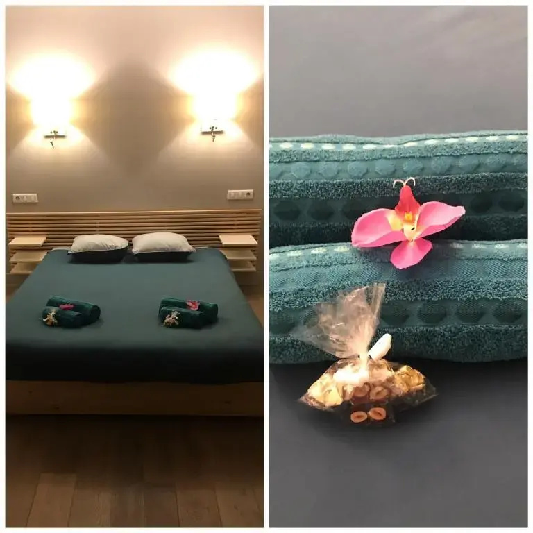 Standard Double room with mountain view (full double bed)