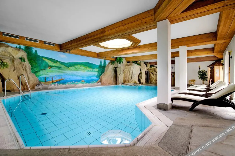 Schwarzwaldhotel Holzschuhs - Général