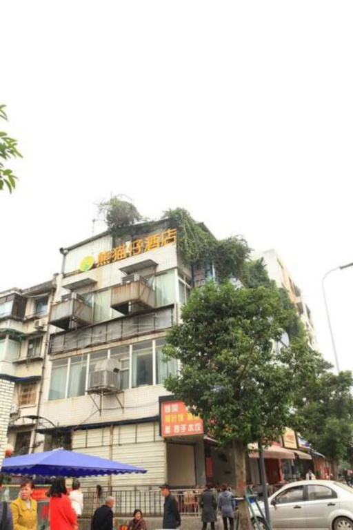 Panda Club Jiaotong University Branch