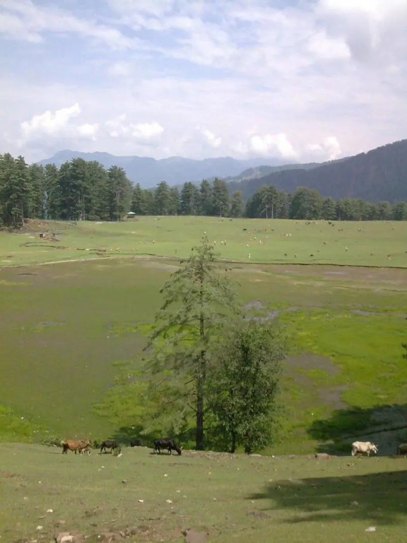 Vardaan Hotels - PatniTop - Général