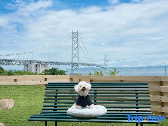 Awai Dog Stay in Awaji