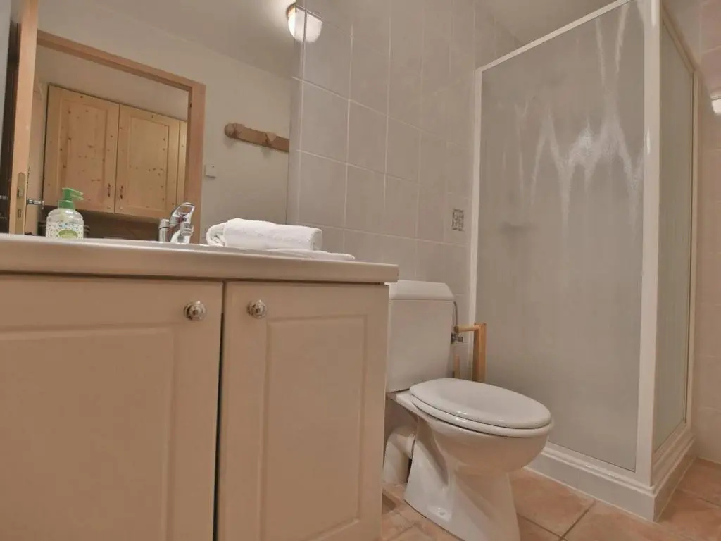 Afficher la photo 8 — Chalet Le Grand-Bornand, 8 pièces, 16 personnes - FR-1-391-33