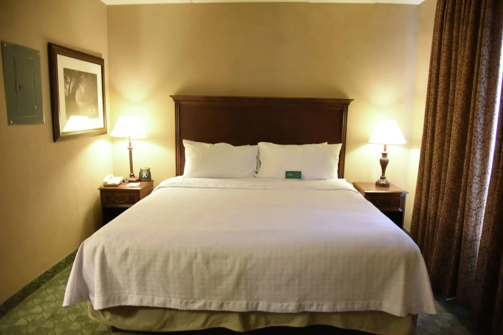 Homewood Suites by Hilton San Antonio North - Général