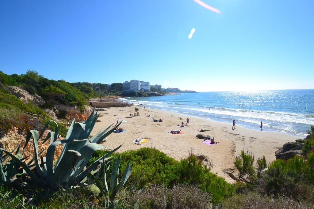 Beach & Waterfront