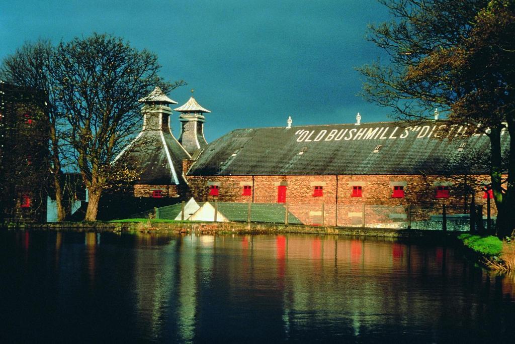 Bushmills Hostel by null