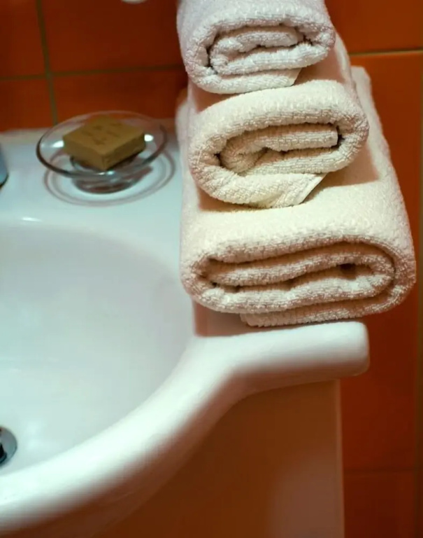 Hotel Regina - Chambres
