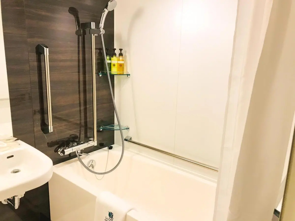 HOTEL LiVEMAX PREMIUM Sapporo-odorikouen 사진 17