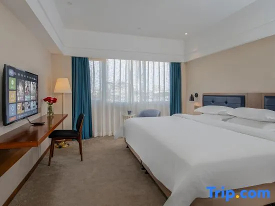 Standard Double room with city view (full double bed)