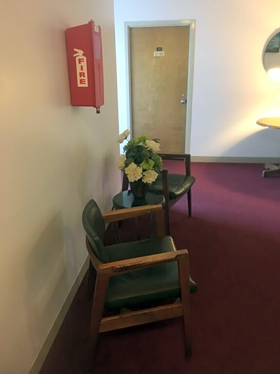 Image 11