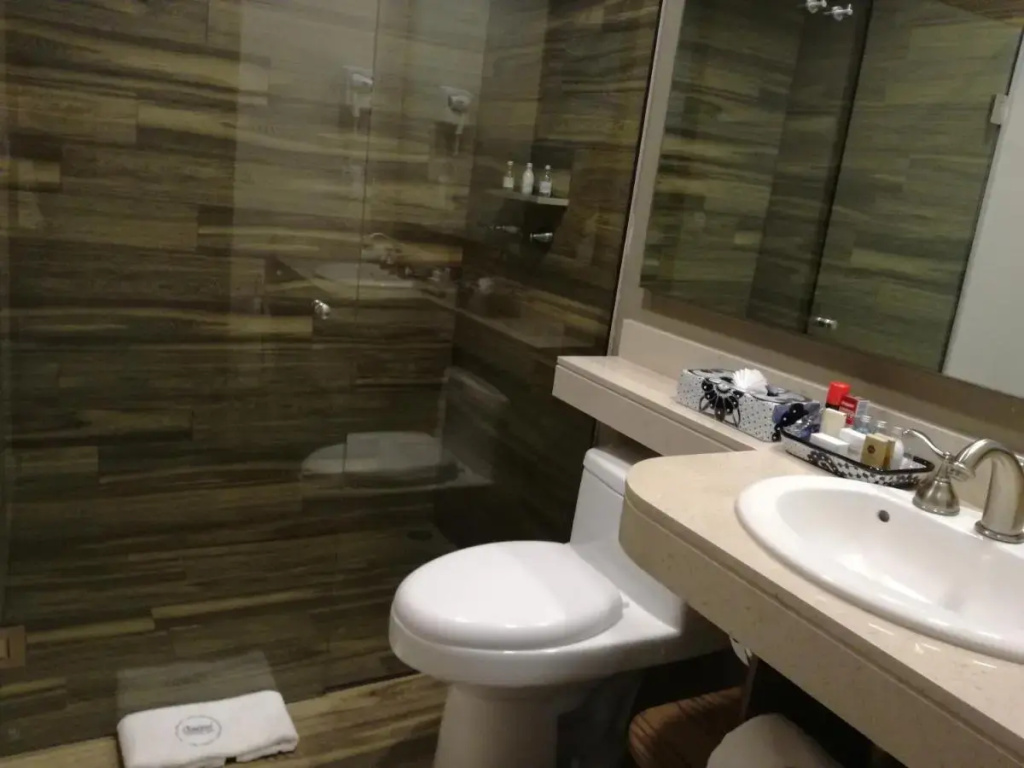 Hotel photo 10