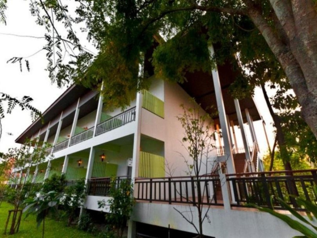Tree House Hotel