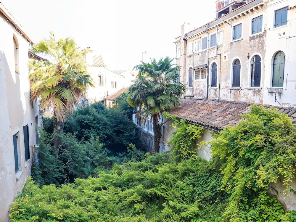 Deluxe Quadruple room with garden view