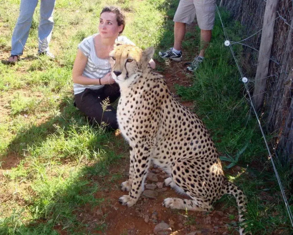 Kronenhoff Guest House - фото 16