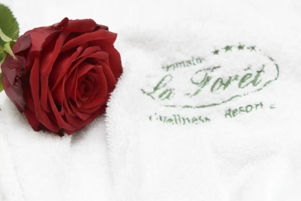 Domaine La Forêt - Chambres