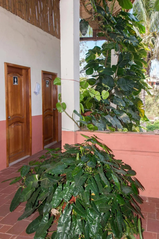 Hotel Mar Azul Galapagos - Général