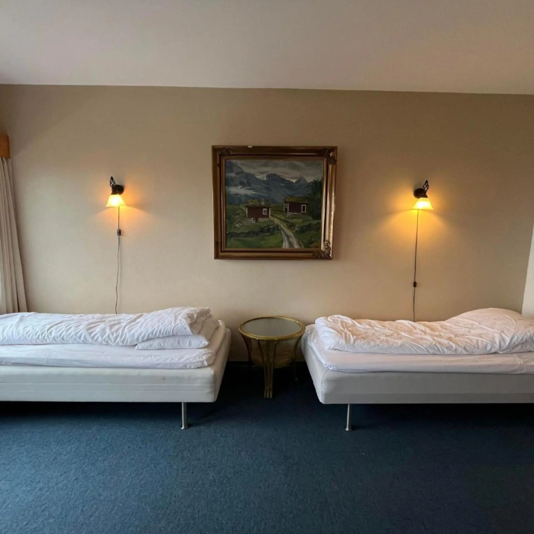Hotel Videseter — 2
