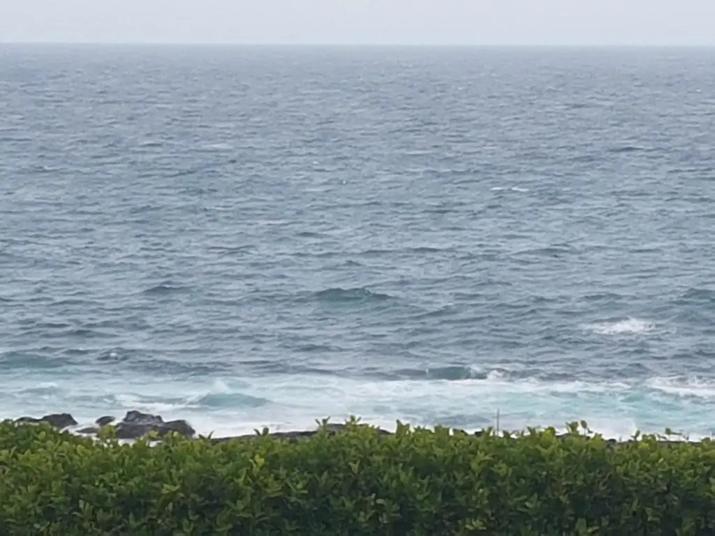 Marine48 Self-Catering Port Elizabeth