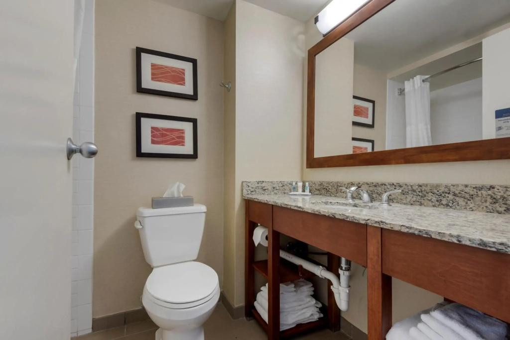 Comfort Inn The Pointe - Général