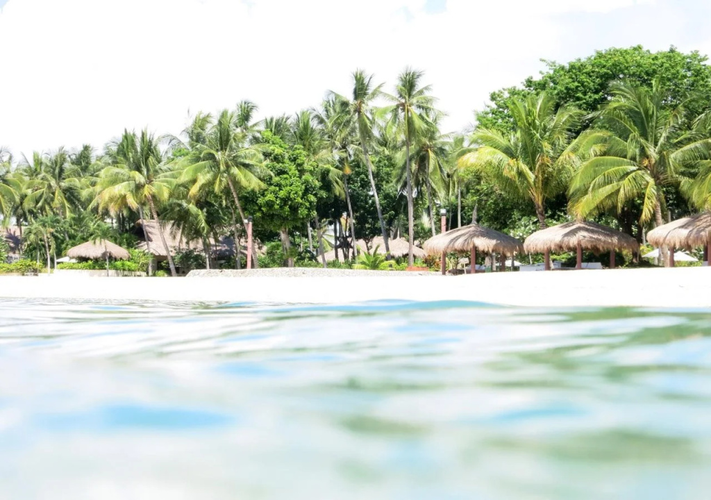 Pulchra - Philippines - Général