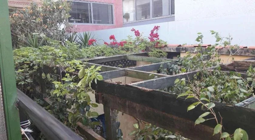 Angeliki's Apartments