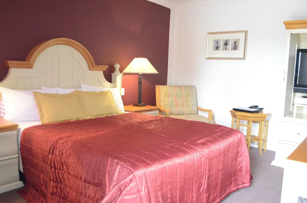 Standard room with city view