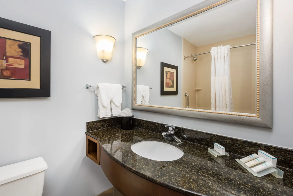 Hilton Garden Inn St. Louis Shiloh/O'Fallon IL - Général
