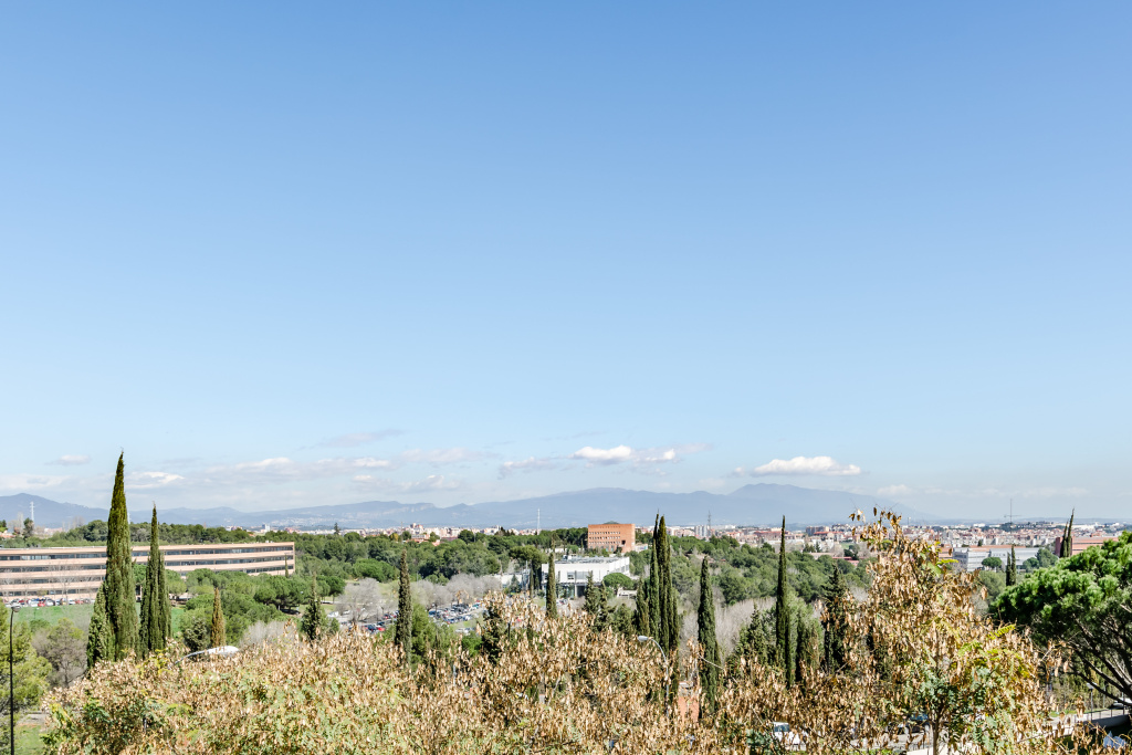 Exe Campus - Général