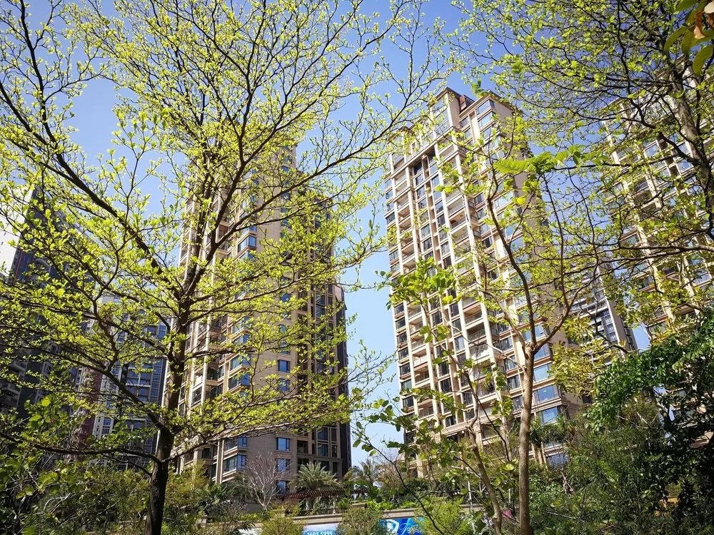You Hostel Shenzhen - Adults Only